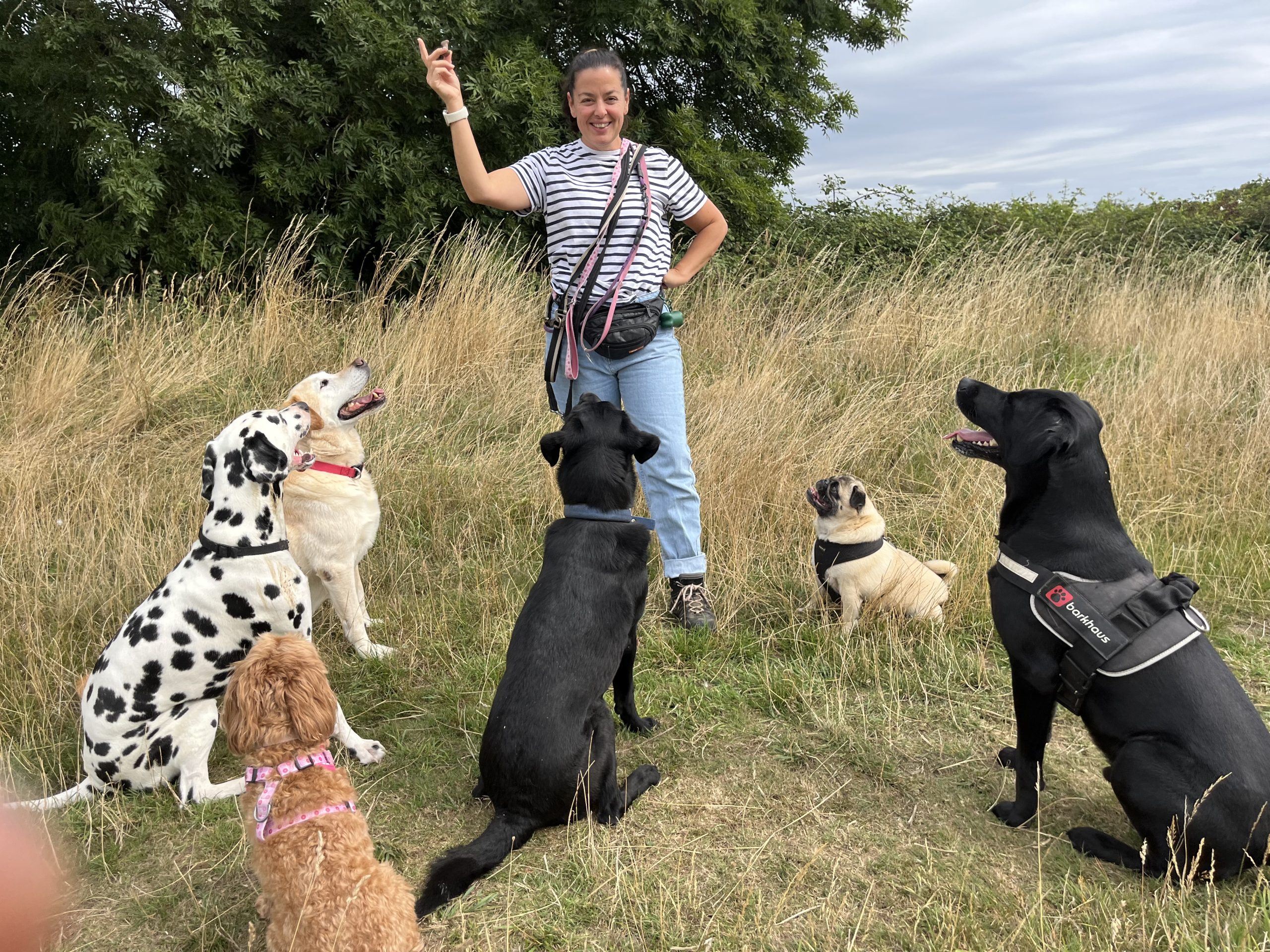 Danielle from Happy Tails Wiltshire with a group of dogs on a countryside walk