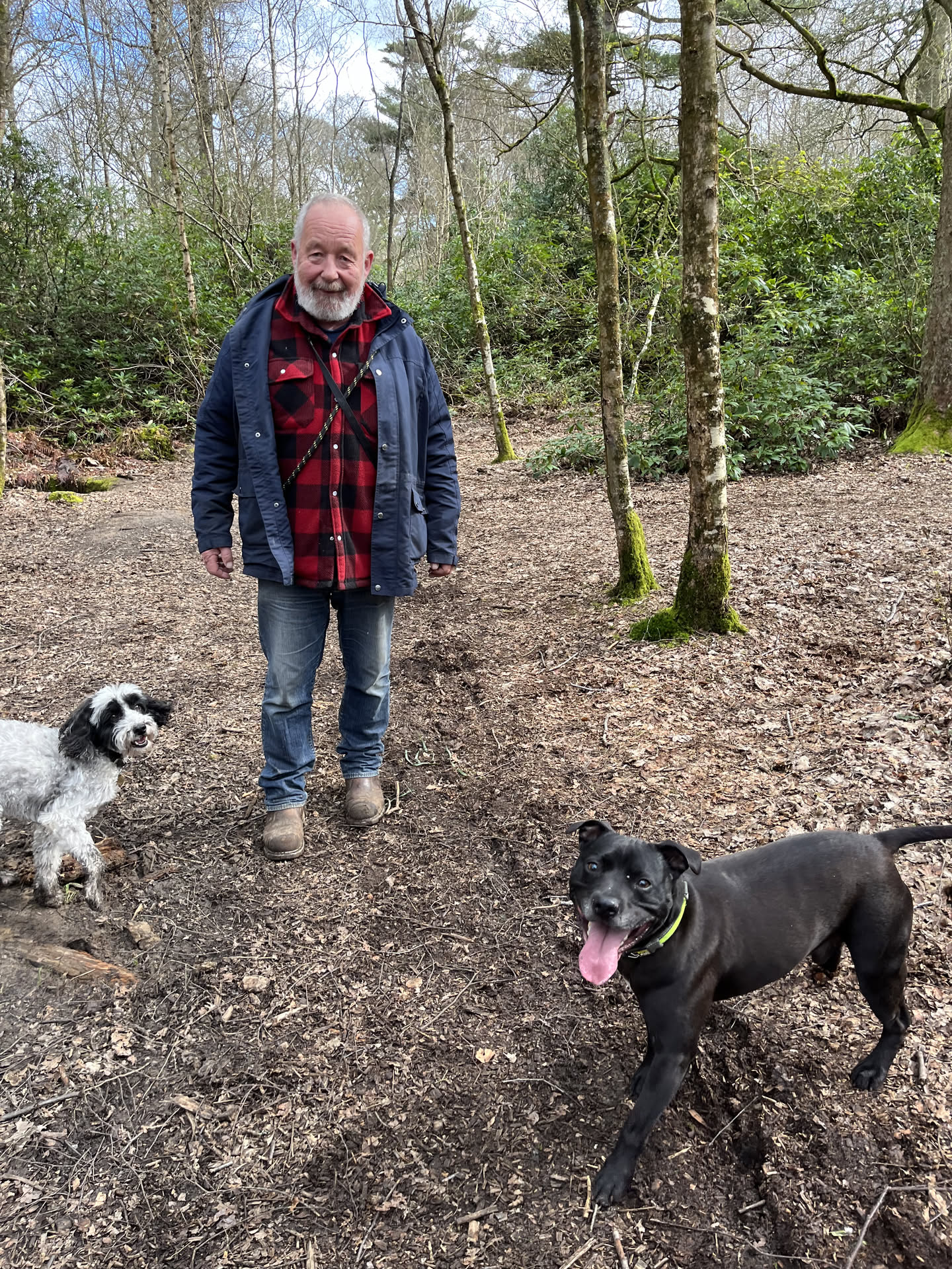 Frank from Happy Tails Wiltshire on a woodland dog walk
